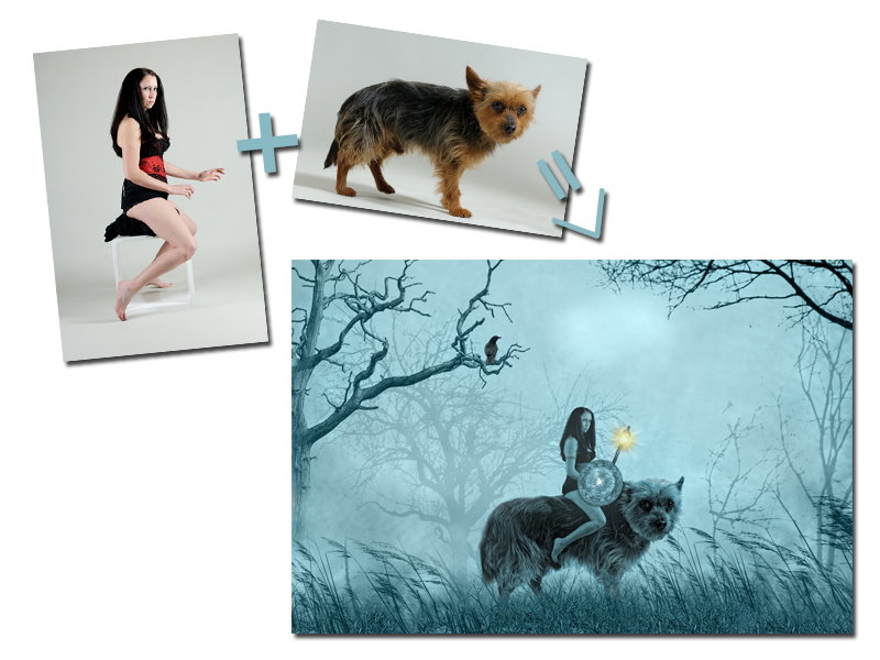 Composings Heiner Weiss Photography
