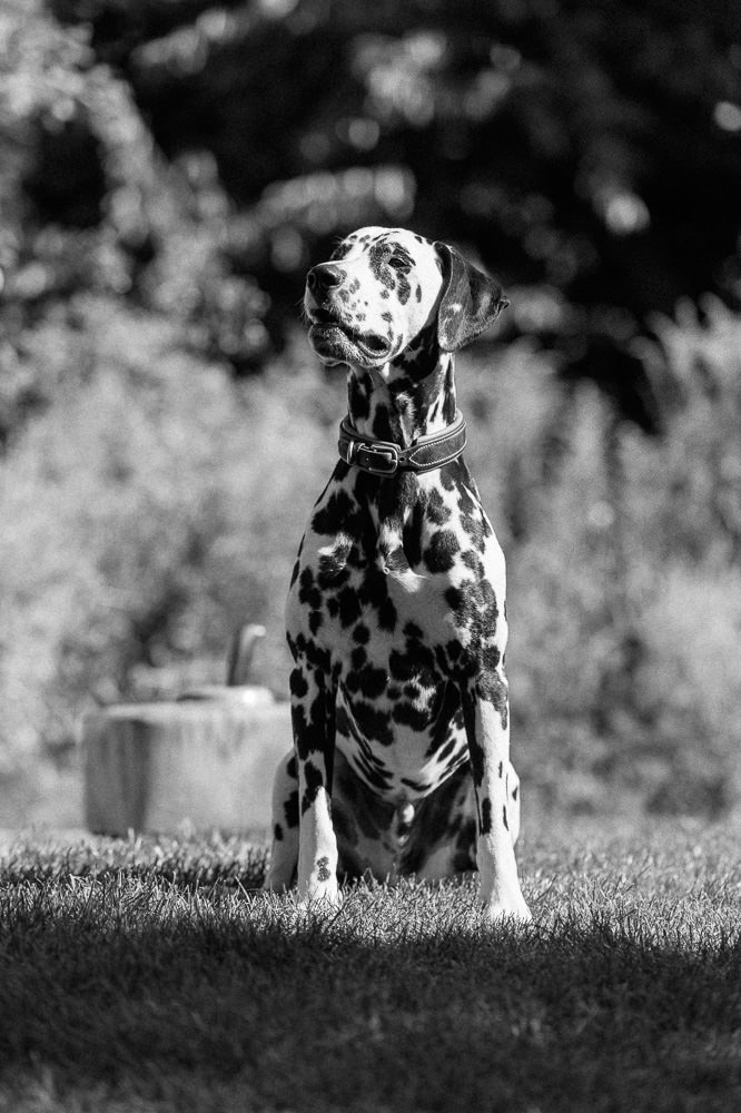 Hochzeitsfotograf Regensburg Heiner Weiss Photography