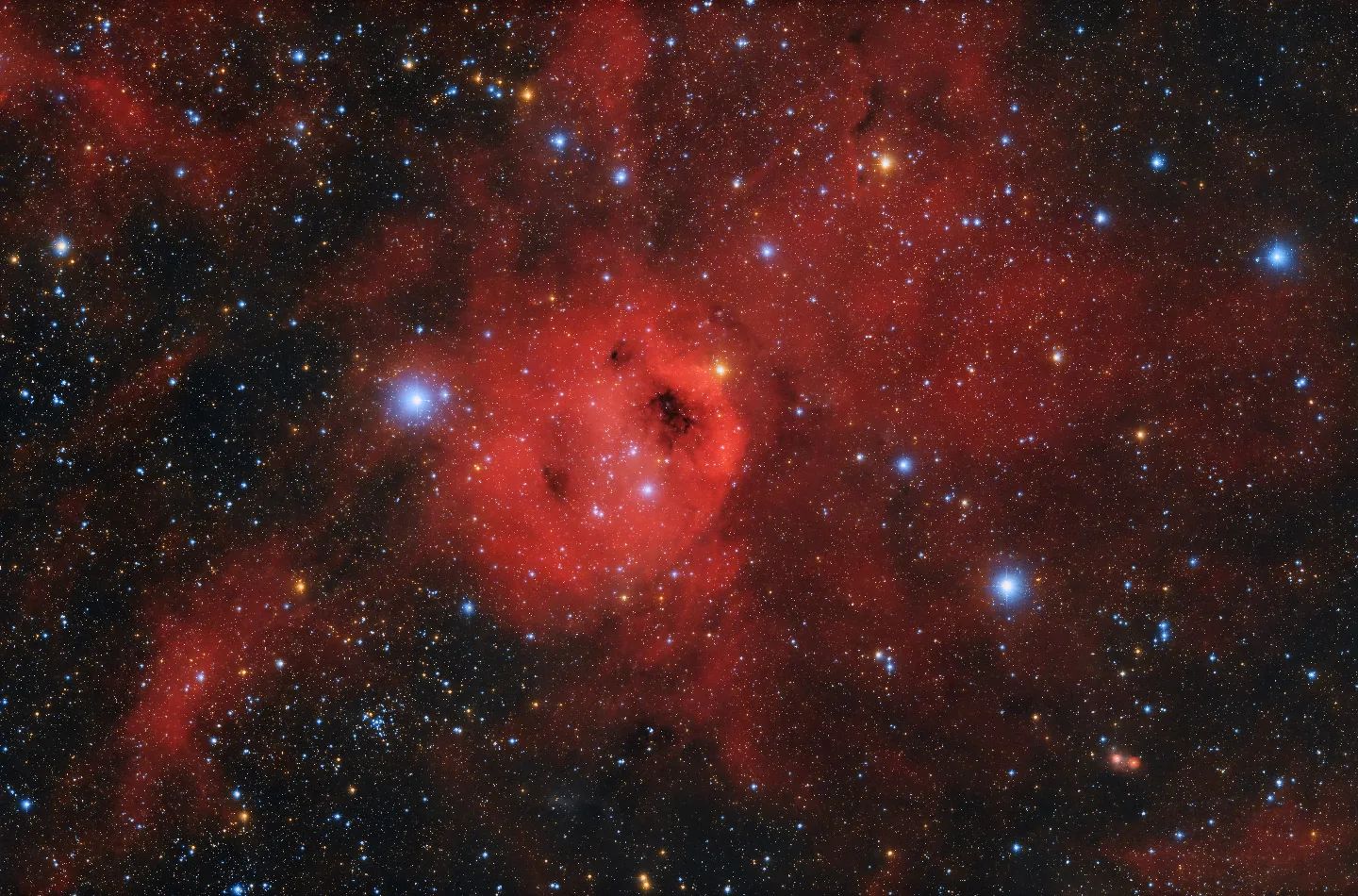 The Phantom Of The Opera
12.5 hours of integration time
www.astro-winkerling.de
#celestron
#rasa11 #asi2600 at bortle 5 sky
#yourESA #nasa #astrofotografia #astrofotografie #astropicsdaily #winkerling #heinerweiss #astrofotografie #astrophotography #planetarynebula #heinerweiss_photography #heinerweissphotography #fuckelonmusk #skywatchereq8rpro #hutechidasnbz #backtonature #fightlightpollution #galacticnebula #CelestronRASA11 #zwoasi2600 #zwoasi #stopspacex #vhsschwandorf #astroregensburg #fotoclubregenstauf #passioneastrofotografia #apod