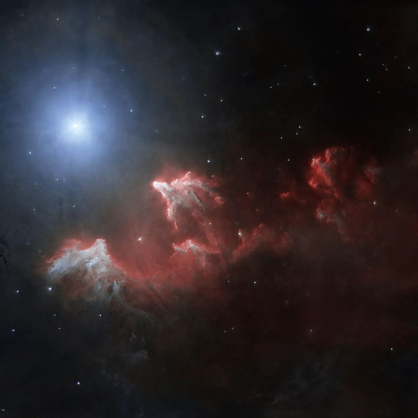 The Ghost Of Cassiopeia
7 hours of integration time
www.astro-winkerling.de
#celestron
#rasa11 #asi2600 at bortle 5 sky
#yourESA #nasa #astrofotografia #astrofotografie #astropicsdaily #winkerling #heinerweiss #astrofotografie #astrophotography #planetarynebula #heinerweiss_photography #heinerweissphotography #fuckelonmusk #skywatchereq8rpro #hutechidasnbz #backtonature #fightlightpollution #galacticnebula #CelestronRASA11 #zwoasi2600 #zwoasi #stopspacex #vhsschwandorf #astroregensburg #fotoclubregenstauf #passioneastrofotografia #apod