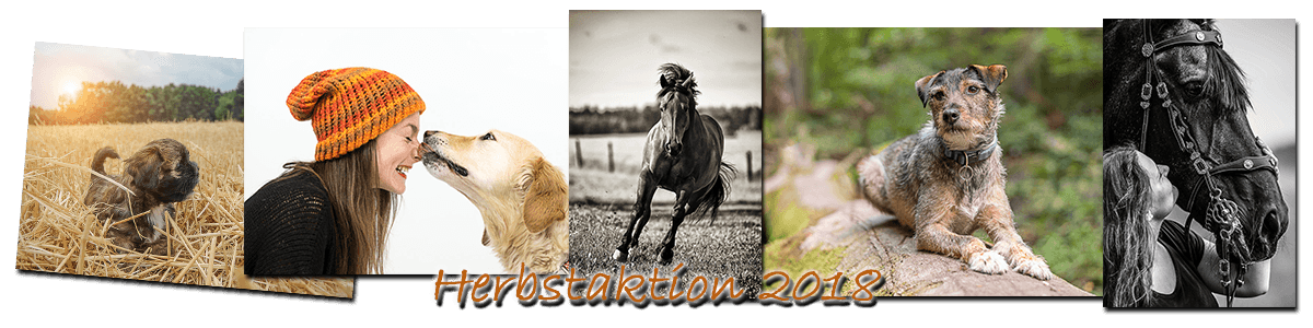 Tiershooting-Aktion Heiner Weiss