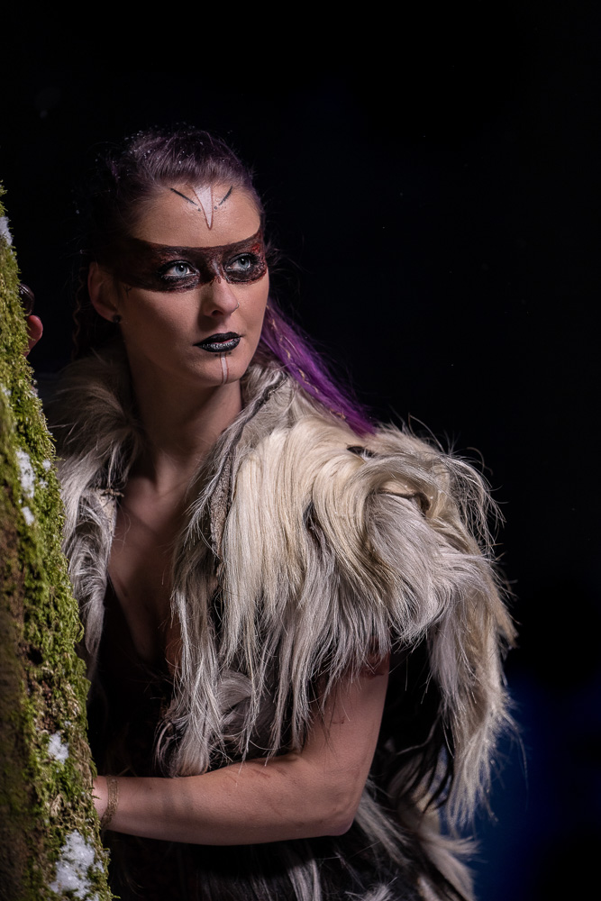 Hochzeitsfotograf Heiner Weiss - Vikingshooting
