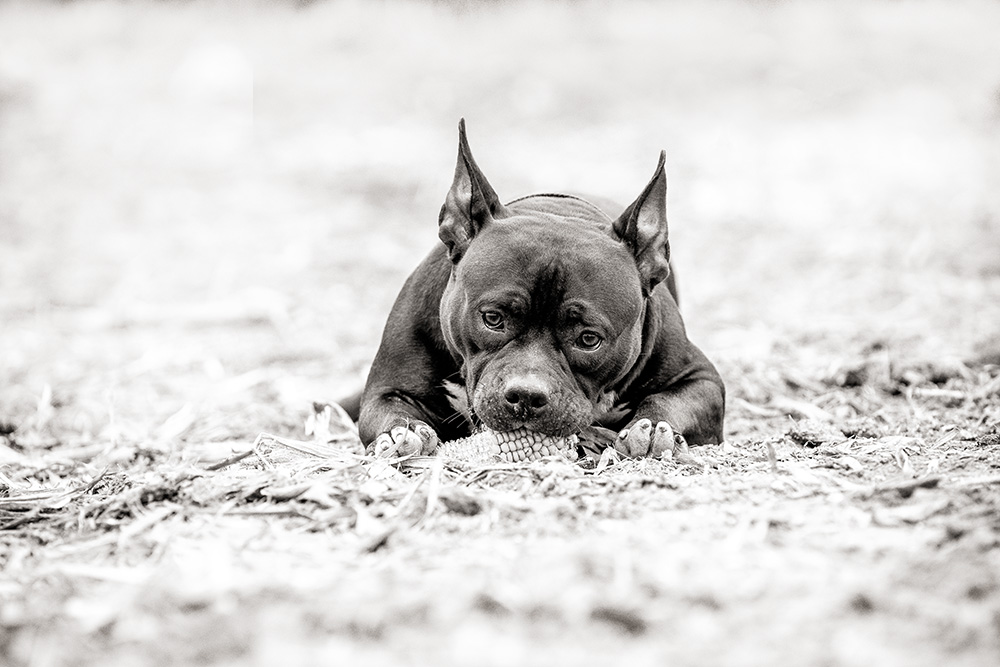 Heiner Weiss Photography Caro