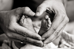 Portfolio Heiner Weiss Photography