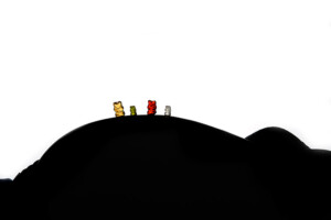 Portfolio Heiner Weiss Photography