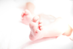 Portfolio Heiner Weiss Photography