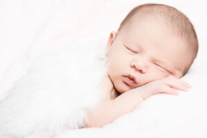 Portfolio Heiner Weiss Photography